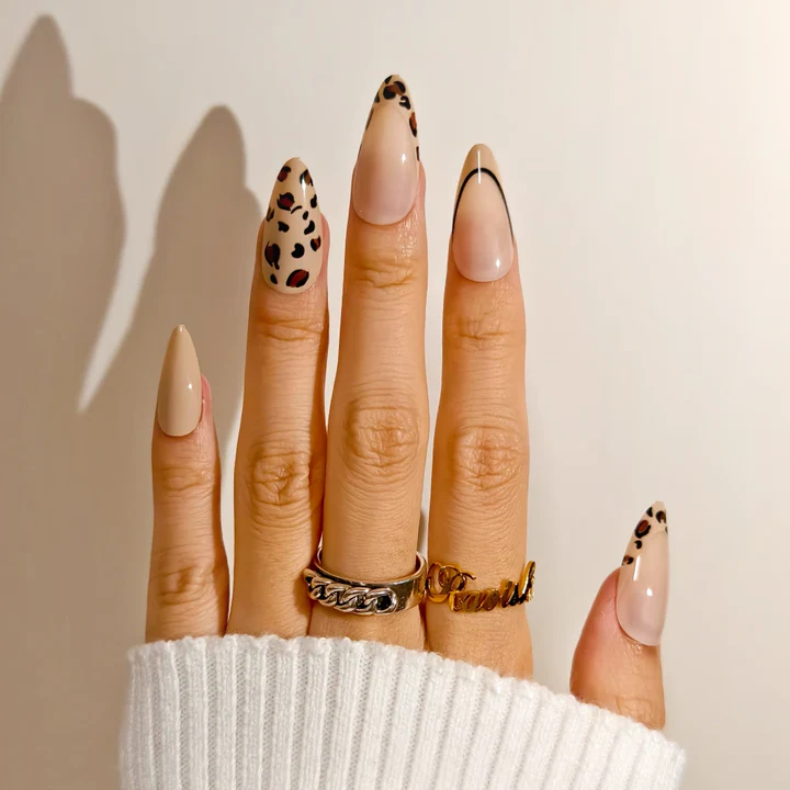 Animal Print Accents