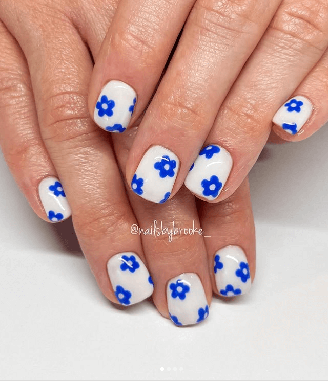 Tiny Blue Flowers with White Centers