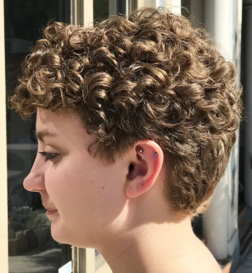 Tapered Curly Cut