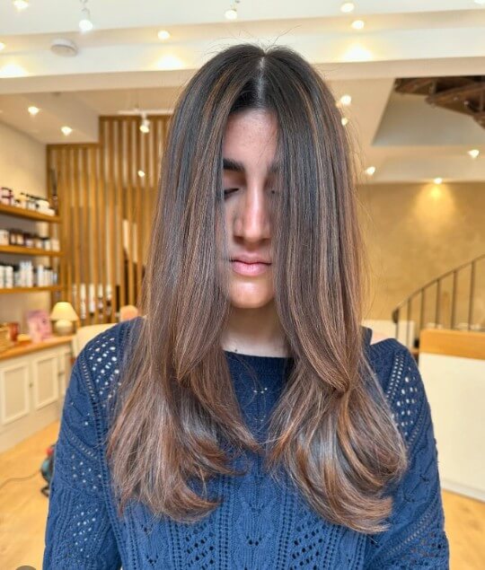 Warm Chestnut with Subtle Highlights